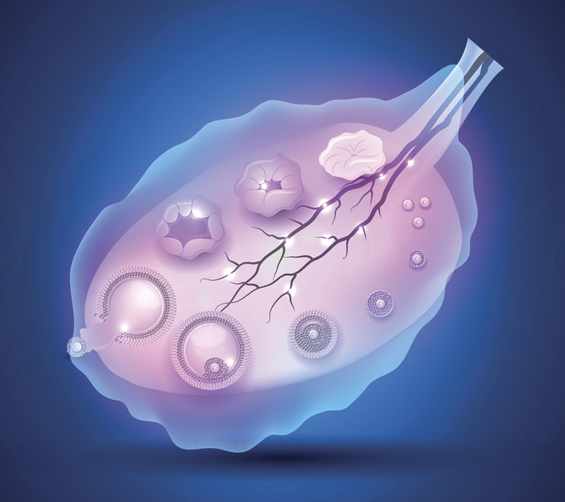 泰国第三代试管具体费用多少？